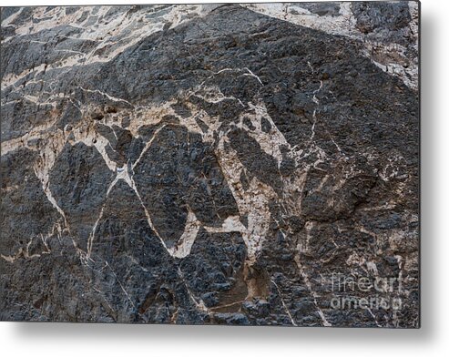 California Metal Print featuring the photograph Titus Canyon Horse by Dan Hartford