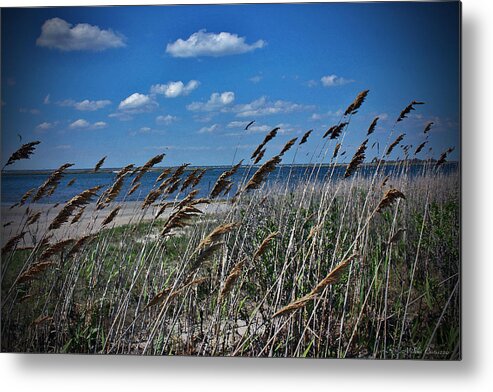 Beach Metal Print featuring the photograph Tobay Beach LI by Mikki Cucuzzo