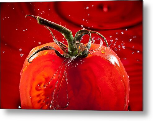 Water Metal Print featuring the photograph Tomato FreshSplash 2 by Steve Gadomski