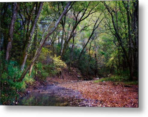 Arkansas Metal Print featuring the photograph Touch of Fall by Lana Trussell