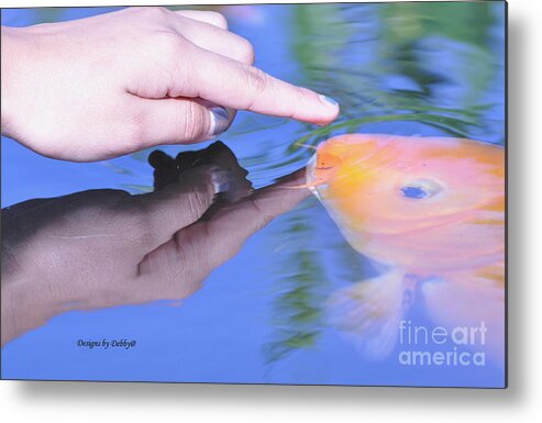 Koi Metal Print featuring the photograph Touching the Koi. by Debby Pueschel