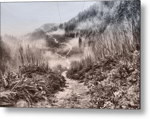 Trails Metal Print featuring the photograph Trail Into the Clouds by Peggy Collins