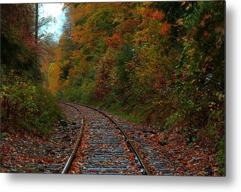 Track Metal Print featuring the photograph Train Fall by Andrea Galiffi