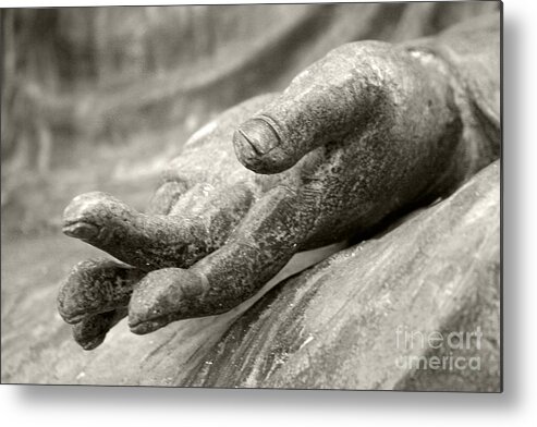 Black And White Metal Print featuring the photograph Tranquility by Eileen Gayle