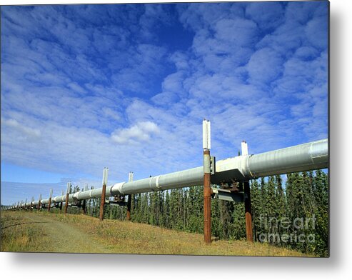 Alaska Metal Print featuring the photograph Trans-alaska Pipeline by Bill Bachmann