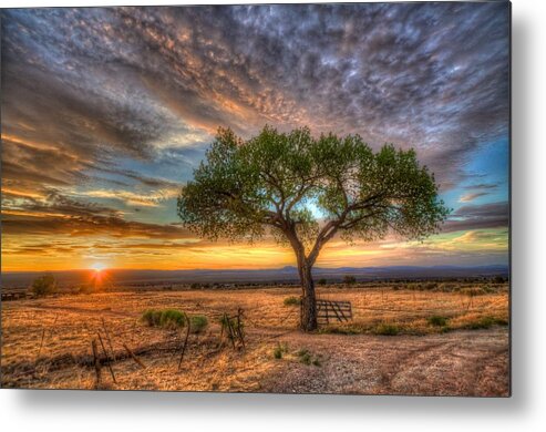 Landscape Metal Print featuring the photograph Tree at Sunset by William Wetmore