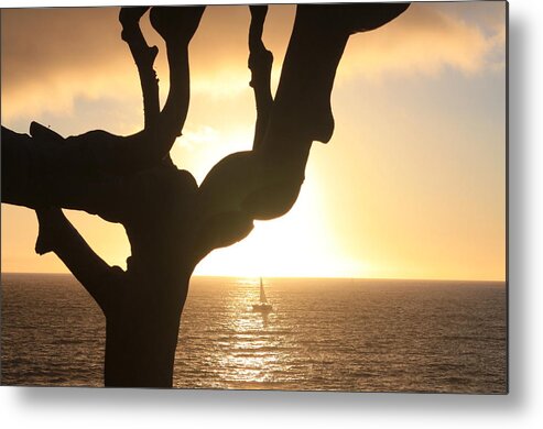 Tree Metal Print featuring the photograph Tree Boat Sunset by Daniel Schubarth