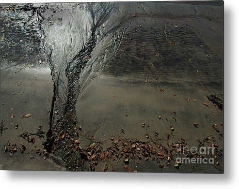 Tree Metal Print featuring the photograph Tree in the Sand by Randi Grace Nilsberg