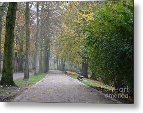 Bruges Metal Print featuring the photograph Tree lined path in Fall season Bruges Belgium by Imran Ahmed