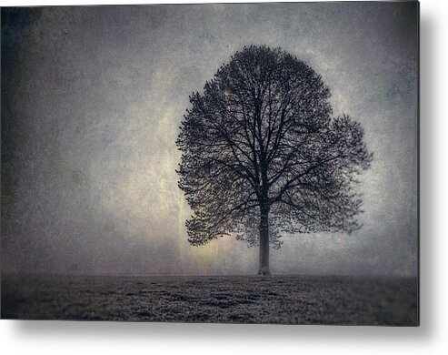 Tree Metal Print featuring the photograph Tree of Life by Scott Norris