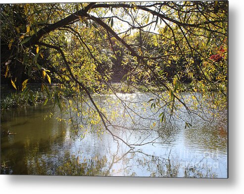 Tree Reflecting Off Lake Metal Print featuring the photograph Tree Reflecting Off Lake by John Telfer