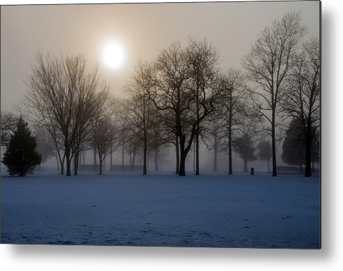 Fog Metal Print featuring the photograph Trees In The Mist by Cathy Kovarik