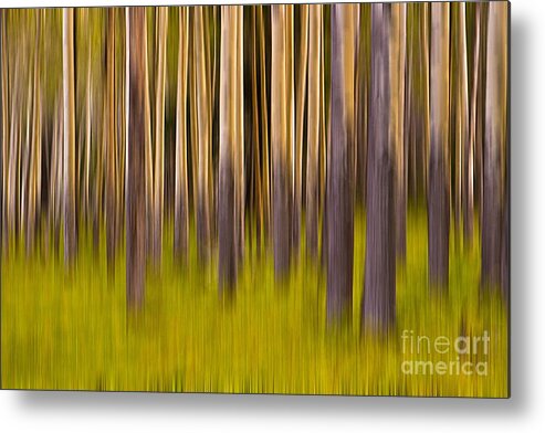 Digital Art Metal Print featuring the digital art Trees by Jerry Fornarotto