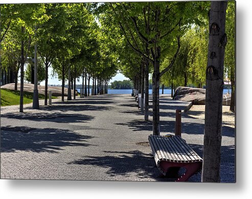 Trees Metal Print featuring the photograph Trees on the Lake by Nicky Jameson
