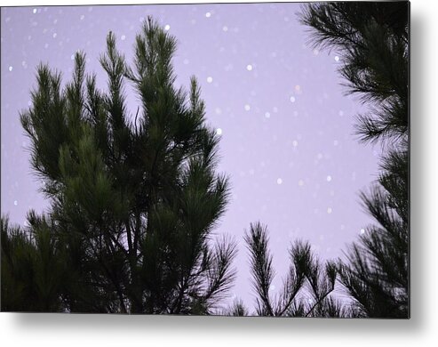 Trees Metal Print featuring the photograph Trees Under the Stars by David Morefield