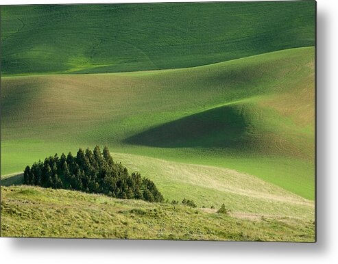 Landscapes Metal Print featuring the photograph Triangle and Trees by Mary Lee Dereske