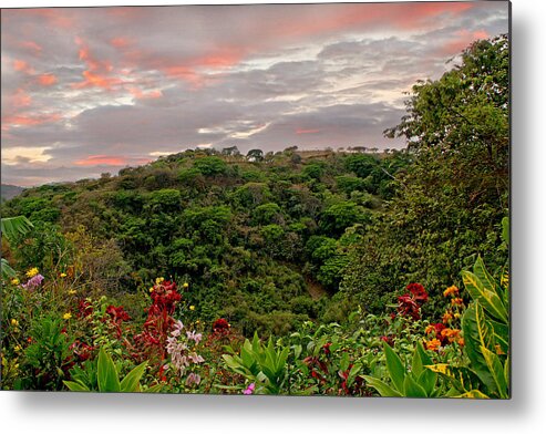 Tropical Metal Print featuring the photograph Tropical Sunset Landscape by Peggy Collins