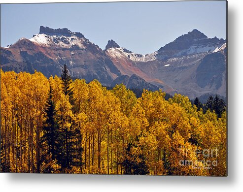 Aspens Metal Print featuring the photograph Trout Lake Aspens by Randy Rogers