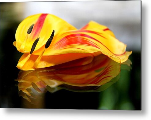 Tulip Metal Print featuring the photograph Tulip Reassembled by Andrea Lazar