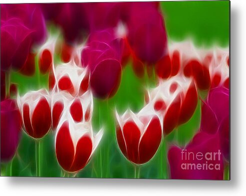 Tulip Metal Print featuring the photograph Tulips-6848-Fractal by Gary Gingrich Galleries
