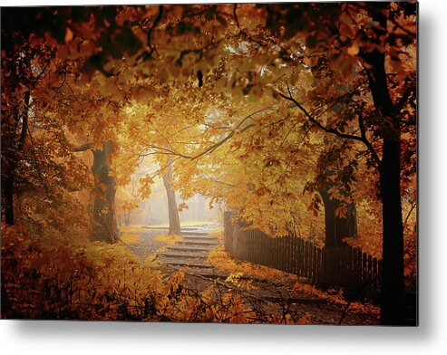 Landscape Metal Print featuring the photograph Turn To Fall by Ildiko Neer