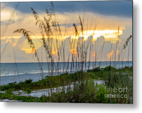 Turtle Metal Print featuring the photograph Turtle Nest sunset by Shawn MacMeekin