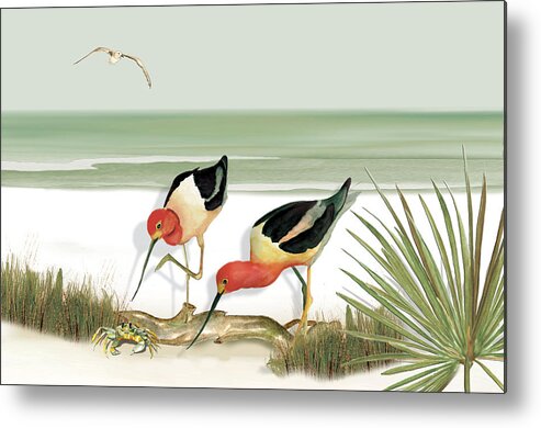 Avocets Metal Print featuring the painting Two Avocets by Anne Beverley-Stamps