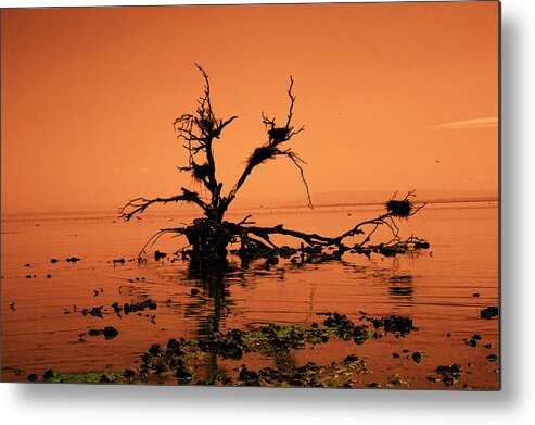 Salton Sea Metal Print featuring the photograph Unchanging by Mike Trueblood
