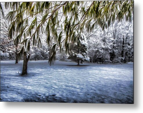 Snow Metal Print featuring the photograph Under The Pines by Cathy Kovarik
