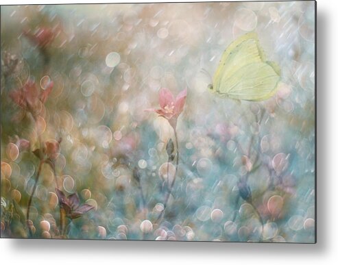 Pastel Metal Print featuring the photograph Uninterrupted Poetry... by Delphine Devos