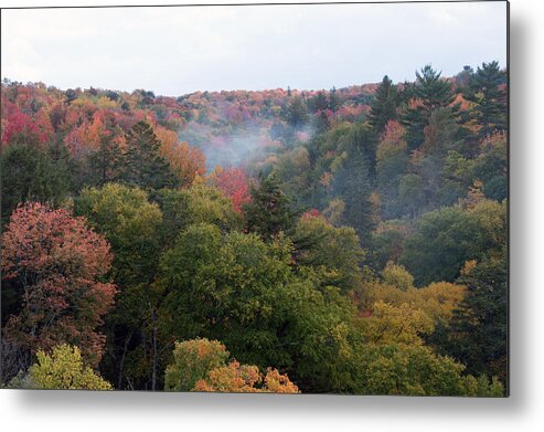 Upper Peninsula Metal Print featuring the photograph Valley of Color by Linda Kerkau