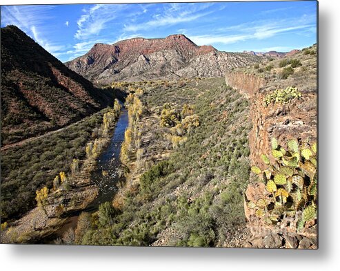 Verde Metal Print featuring the photograph Verde River along the Verde Canyon Railway with Fall Colors in Arizona by Ron Chilston