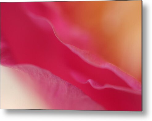 Flower Metal Print featuring the photograph Vermillion by Tasha ONeill