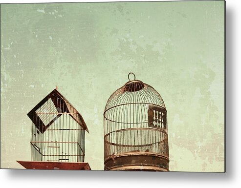 Mint Metal Print featuring the photograph Vintage Bird Cages by Brooke T Ryan