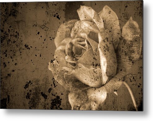 Sepia Metal Print featuring the photograph Vintage Rose by Kathleen Messmer