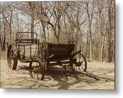 Farm Metal Print featuring the photograph Waiting for a Horse by Kathleen Scanlan
