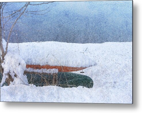 Falling Snow Metal Print featuring the photograph Waiting For Spring by Tom Singleton