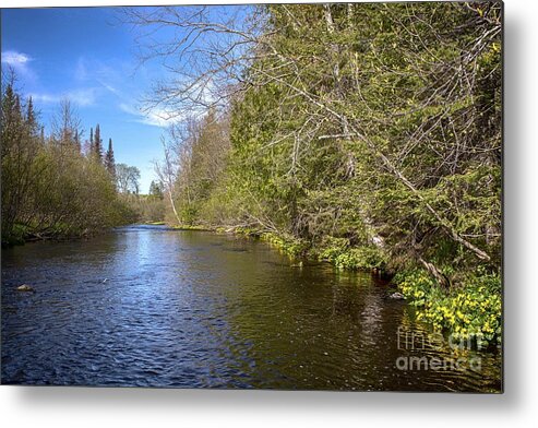 Paint River Metal Print featuring the photograph Waiting For The Hatch by Dan Hefle