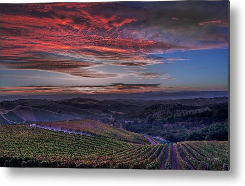 Paso Robles Metal Print featuring the photograph Waiting for the Sun in Adelaida by Tim Bryan