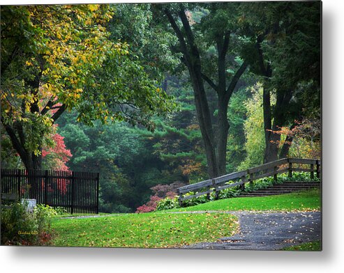 Fall Metal Print featuring the photograph Walk in the Park by Christina Rollo