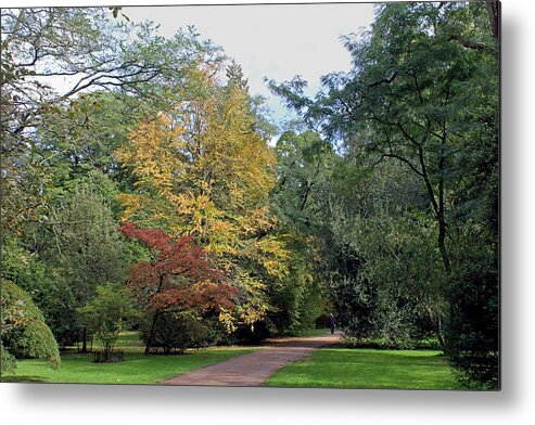 Walk In The Woods Metal Print featuring the photograph Walk in the Woods by Tony Murtagh