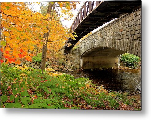 Fall Metal Print featuring the photograph Walking Bridge in Fall by Amazing Jules