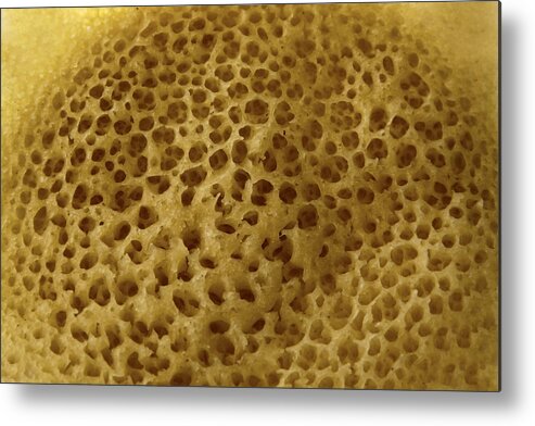 Material Metal Print featuring the photograph Warped celled organic structure by Oonal