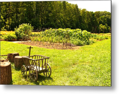 Mount Vernon Metal Print featuring the photograph George Washington's Garden by Paul Mangold