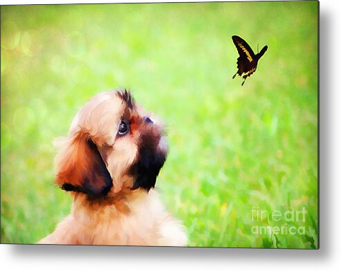 Adorable Metal Print featuring the photograph Watching Butterflies by Darren Fisher