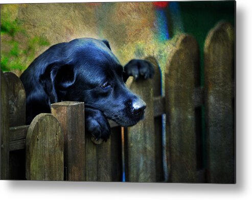 Jenny Rainbow Fine Art Photography Metal Print featuring the photograph Watching the Life Passing By by Jenny Rainbow