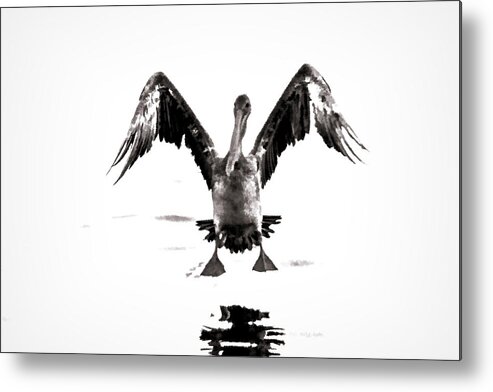 Pelican Metal Print featuring the digital art Water Landing by Photographic Art by Russel Ray Photos