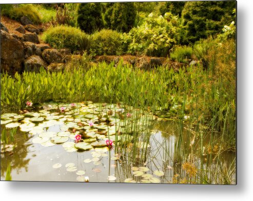 Water Lilies Metal Print featuring the photograph Water Lilies in the Garden by Bonnie Bruno