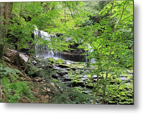 Ricketts Glen State Park Metal Print featuring the photograph Waterfall Ricketts Glen State Park PA by Susan Jensen