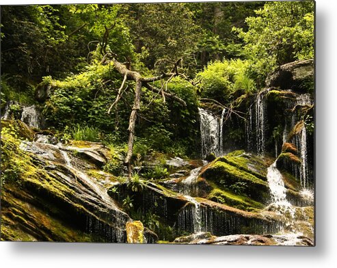 Waterfalls Metal Print featuring the photograph I'm Free.... Free Falling by Tammy Schneider